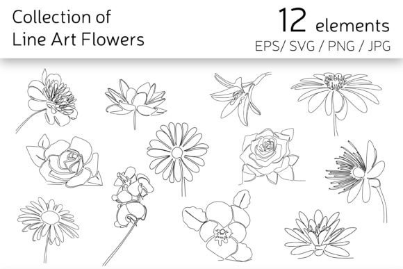 Download Line Art Flowers - Flowers Collection
