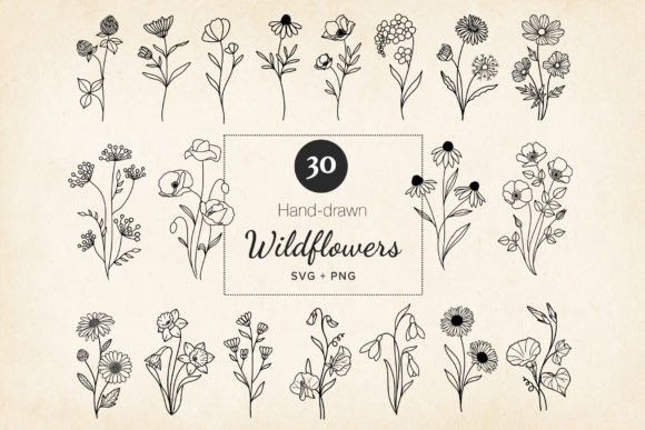 Download Minimal Wildflowers Set SVG, EPS, PNG - Flowers Collection