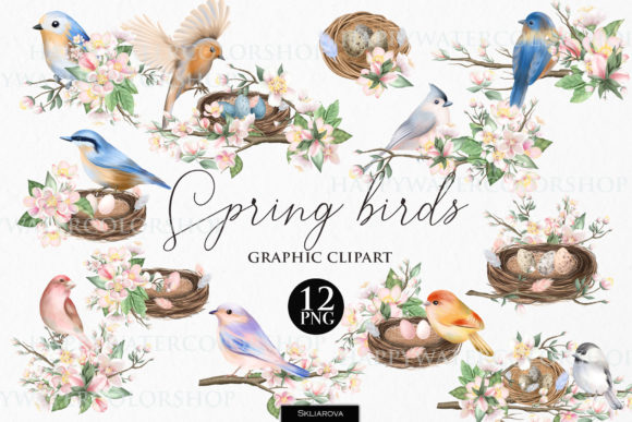 Download Spring Birds and Flowers - Flowers Collection