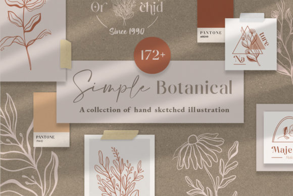Download Simple Botanical Line Art Flowers - Flowers Collection