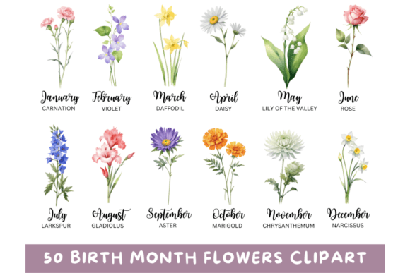 Download 50 Watercolor Birth Month Flowers PNG - Premium Resources