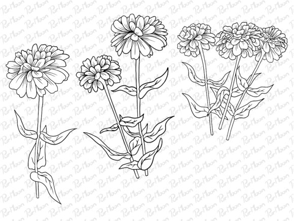 Download Line Art Flowers Arrangements - Flowers Collection