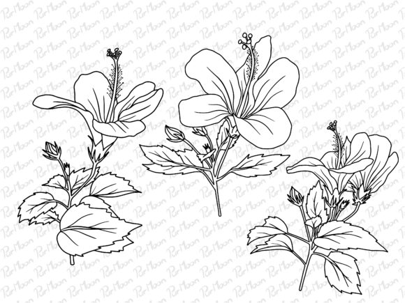 Download Line Art Flowers Arrangements - Flowers Collection